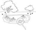 Coloring page with pond with flowering water-lily plants and Amoeba